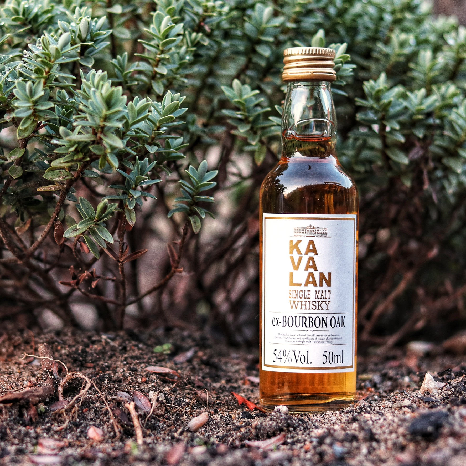 Miniatur Kavalan Ex-Bourbon Oak (Taiwan) 54.0% 0,05l